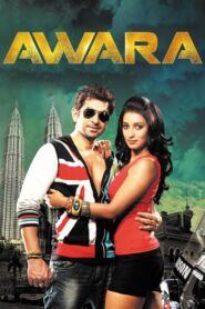 Awara 2012 on netflix