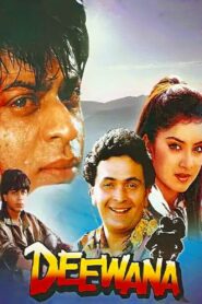 Deewana 1992 on netflix
