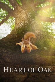 Heart of an Oak 2022 on netflix