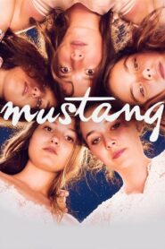 Mustang 2015 on netflix