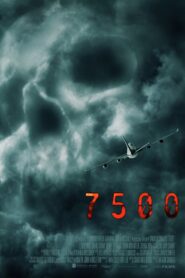 Flight 7500 2014 on netflix
