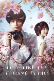 Love Like the Falling Petals 2022 on netflix