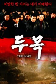 The Boss 1994 on netflix