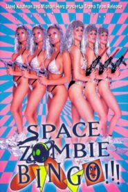 Space Zombie Bingo!!! 1993 on netflix