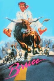 They Still Call Me Bruce 1987 on netflix