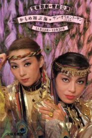 Fly Up, Young Seagulls / Sun Orient Sun 1982 on netflix