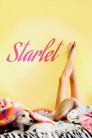 Starlet 2012 on netflix