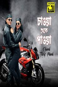 Chaowa Theke Paowa 1996 on netflix