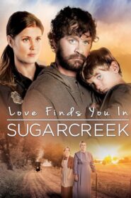 Love Finds You In Sugarcreek 2014 on netflix
