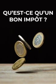 What Is a Good Tax? 2019 on netflix