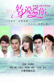 Fall In Love With You Again 2015 on netflix