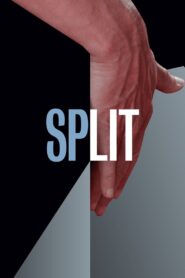Split 2016 on netflix