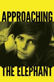Approaching the Elephant 2015 on netflix