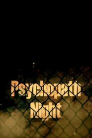 Psychopath Night 2013 on netflix