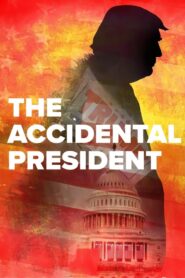 The Accidental President 2020 on netflix