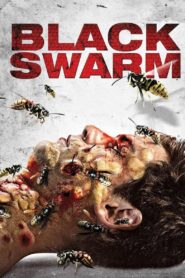 Black Swarm 2007 on netflix