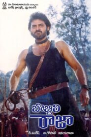 Bobbili Raja 1990 on netflix