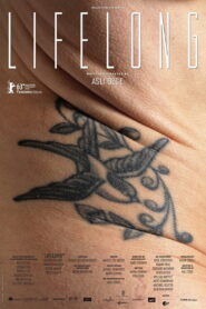Lifelong 2013 on netflix