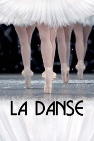 La Danse: The Paris Opera Ballet 2009 on netflix