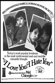 I Love You, I Hate You 1982 on netflix