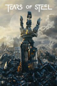 Tears of Steel 2012 on netflix