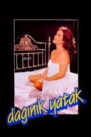 Dağınık Yatak 1984 on netflix