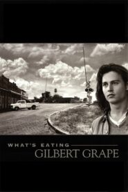 What’s Eating Gilbert Grape 1993 on netflix