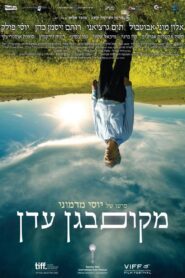 A Place in Heaven 2013 on netflix