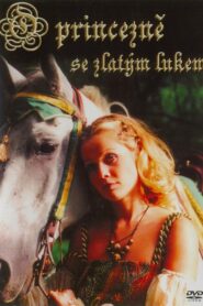 O princezně se zlatým lukem 2002 on netflix