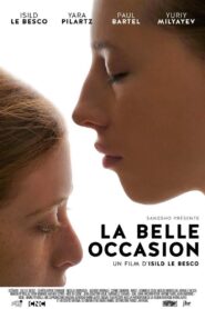 The Beautiful Occasion 2017 on netflix