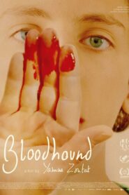 Bloodhound 2024 on netflix
