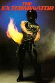 The Exterminator 1980 on netflix