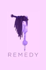 Remedy 2013 on netflix