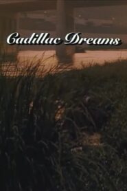Cadillac Dreams 1988 on netflix