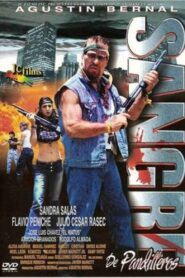 Sangre de pandilleros 2002 on netflix