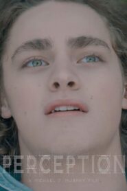 Perception 2017 on netflix