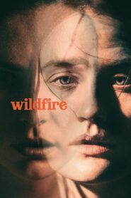 Wildfire 2021 on netflix
