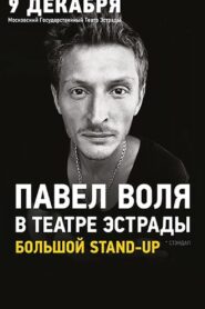 Pavel Volya: at the Estrada Theatre 2013 on netflix