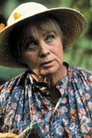 Sunday Pursuit 1990 on netflix
