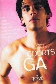 Courts mais Gay : Tome 12 2006 on netflix