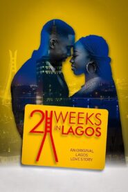 2 Weeks in Lagos 2019 on netflix