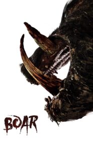 Boar 2018 on netflix