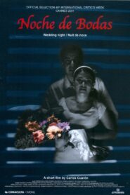 Wedding Night 2002 on netflix