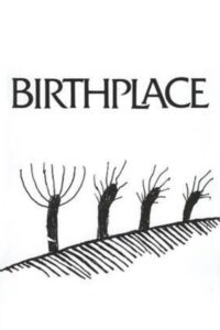 Birthplace 1992 on netflix