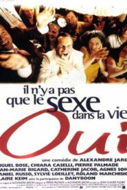 Oui 1996 on netflix