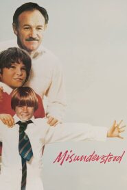 Misunderstood 1983 on netflix
