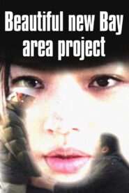 Beautiful New Bay Area Project 2013 on netflix