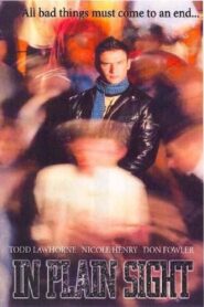 In Plain Sight 2004 on netflix