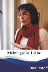 Meine große Liebe 2005 on netflix