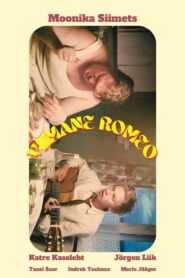 The Last Romeo 2013 on netflix